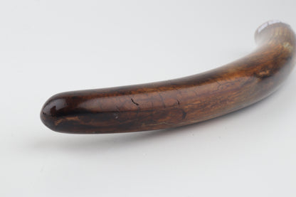 Restored woolly mammoth tusk