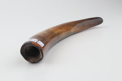 Restored woolly mammoth tusk