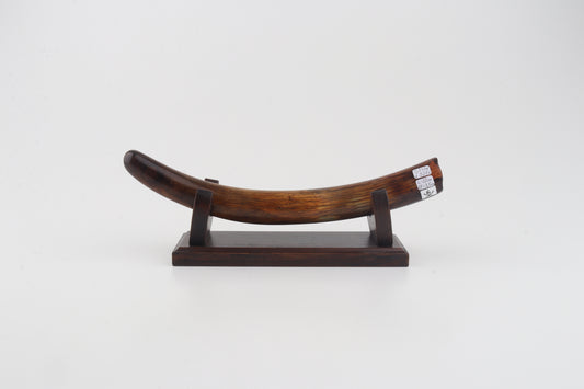 Restored woolly mammoth tusk