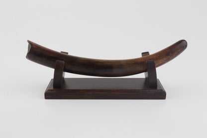 Restored woolly mammoth tusk