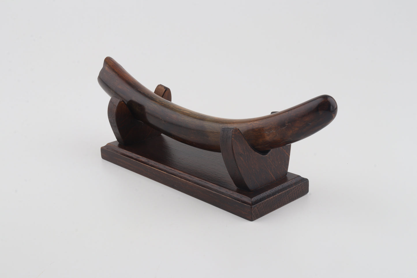 Restored woolly mammoth tusk