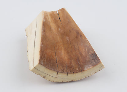 Natural mammoth ivory piece
