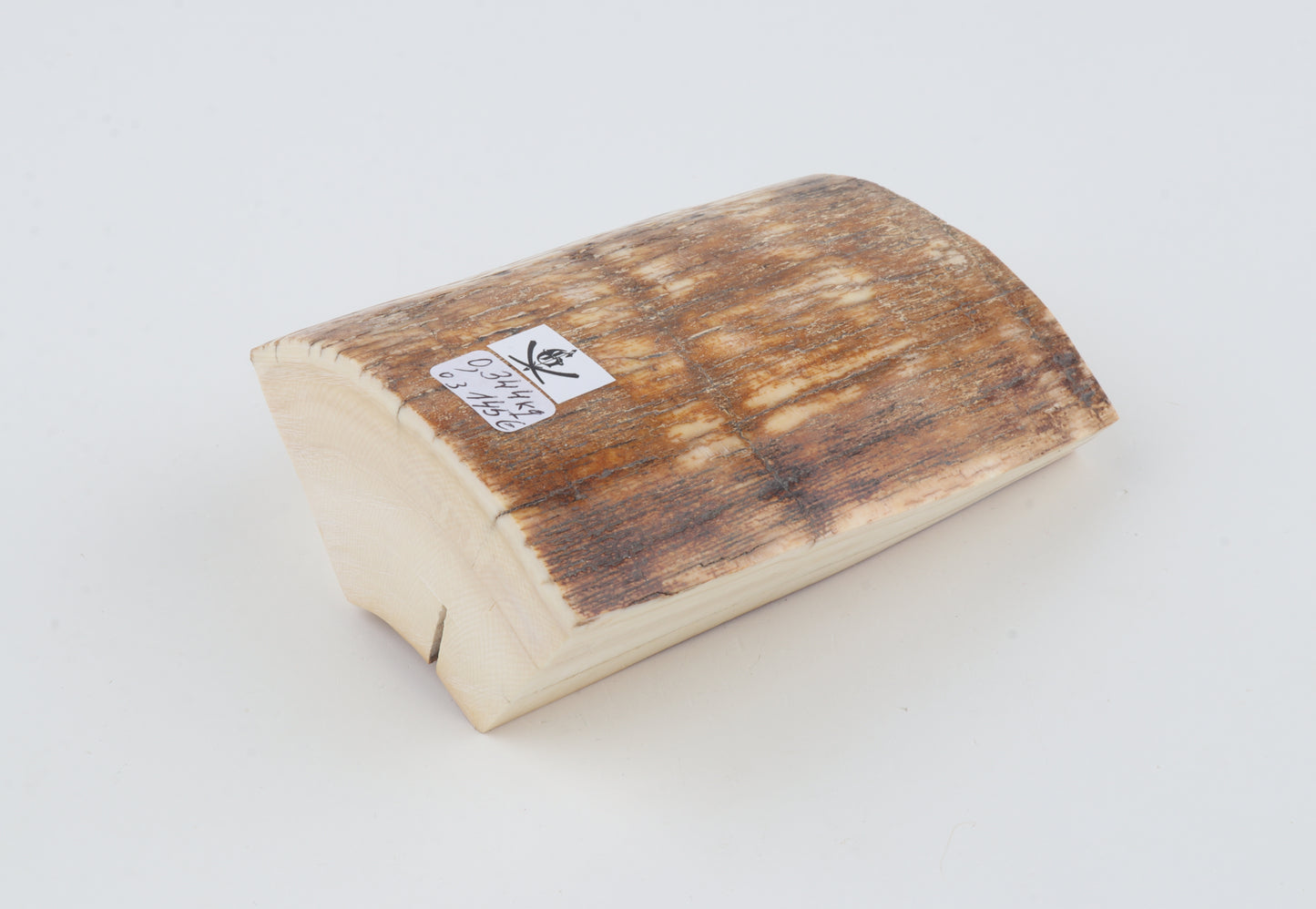 Natural mammoth ivory piece