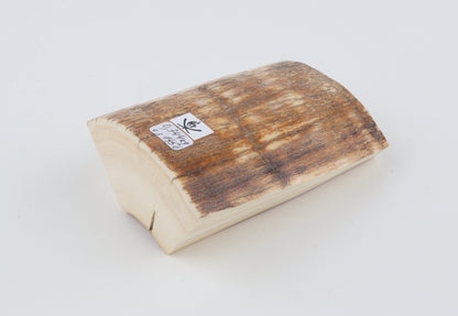 Natural mammoth ivory piece