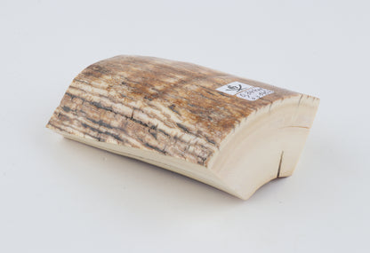 Natural mammoth ivory piece