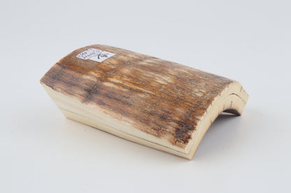 Natural mammoth ivory piece