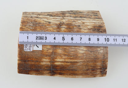 Natural mammoth ivory piece