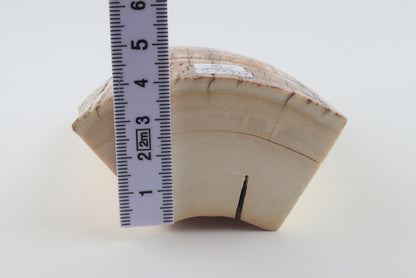 Natural mammoth ivory piece