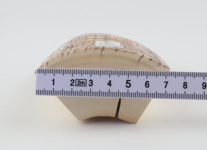 Natural mammoth ivory piece