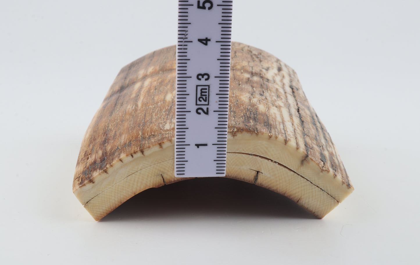 Natural mammoth ivory piece