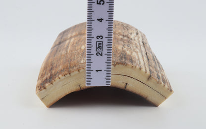 Natural mammoth ivory piece