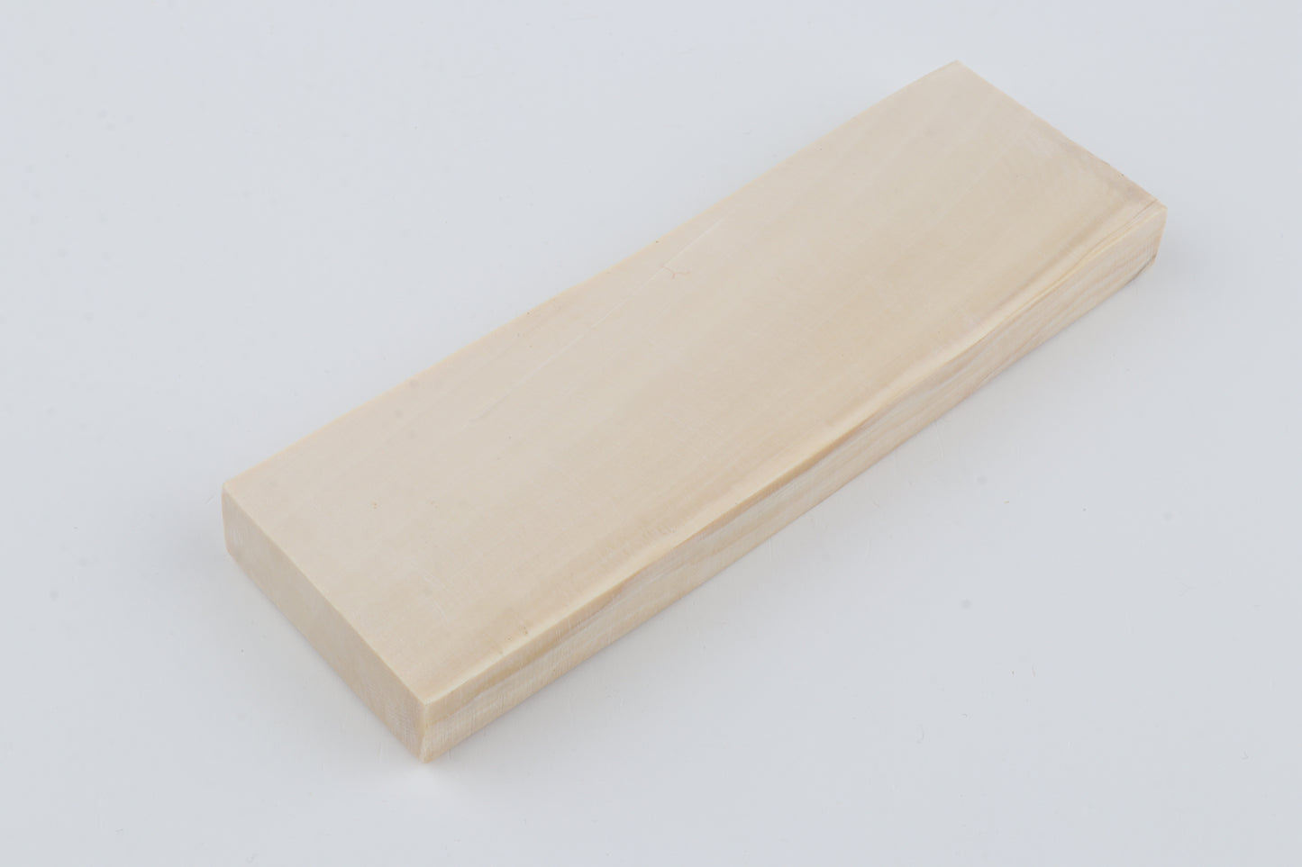 White mammoth ivory segment