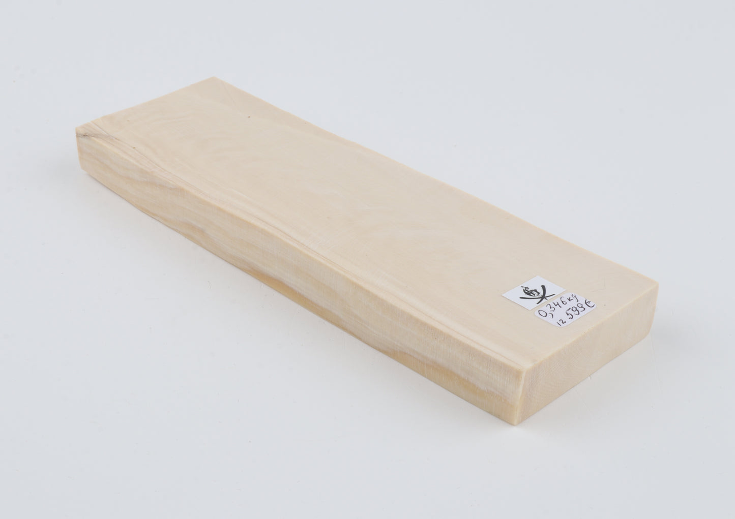 White mammoth ivory segment