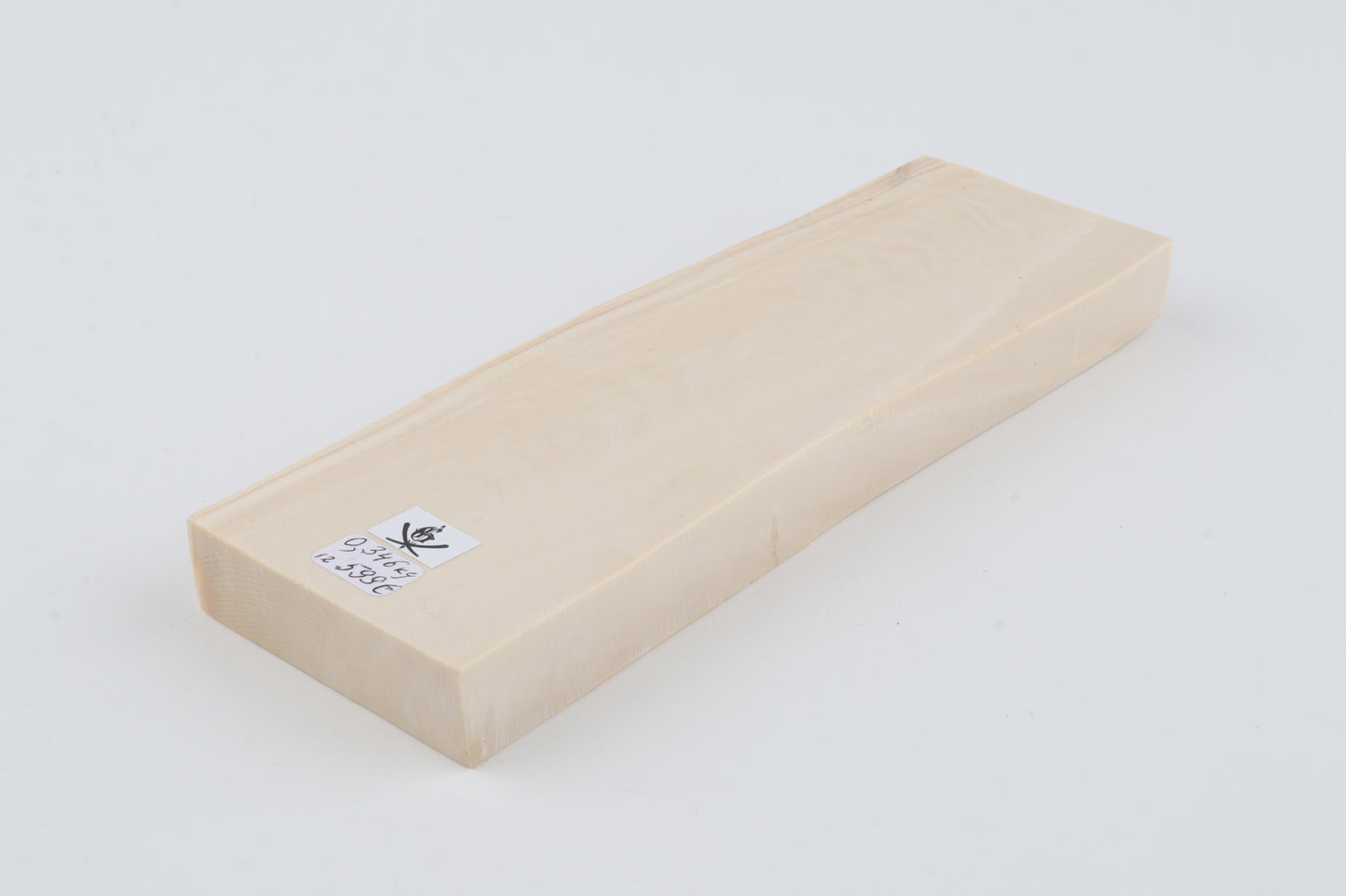 White mammoth ivory segment