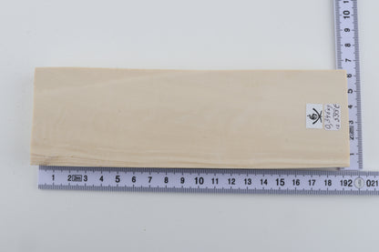 White mammoth ivory segment