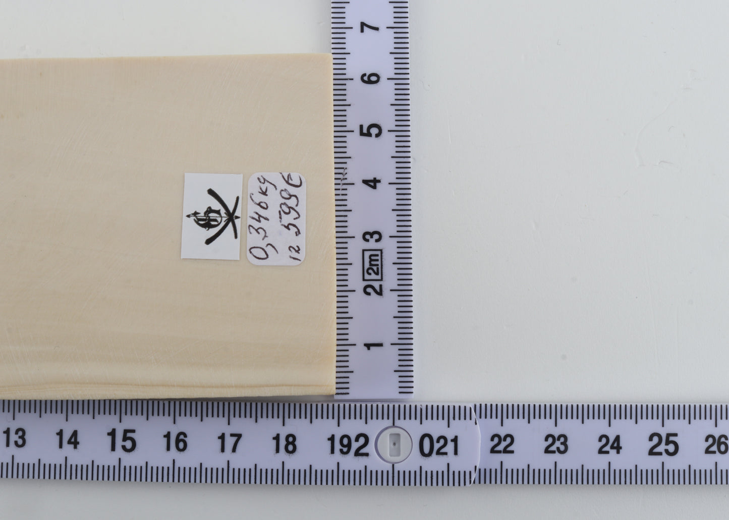 White mammoth ivory segment