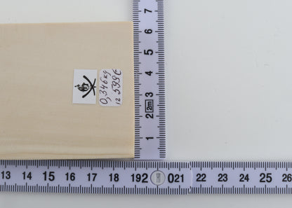 White mammoth ivory segment