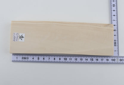 White mammoth ivory segment