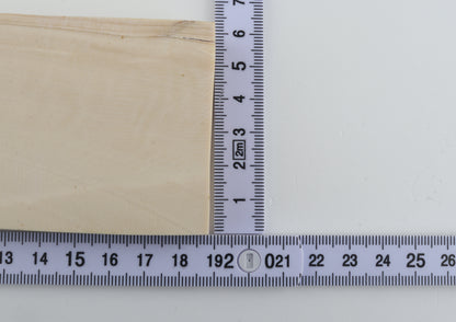 White mammoth ivory segment
