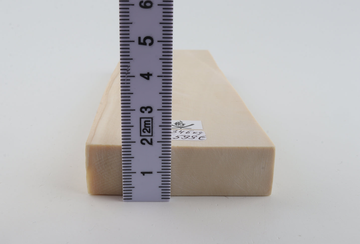 White mammoth ivory segment