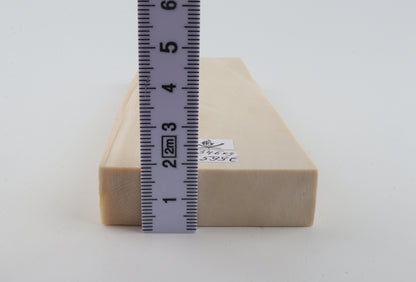 White mammoth ivory segment