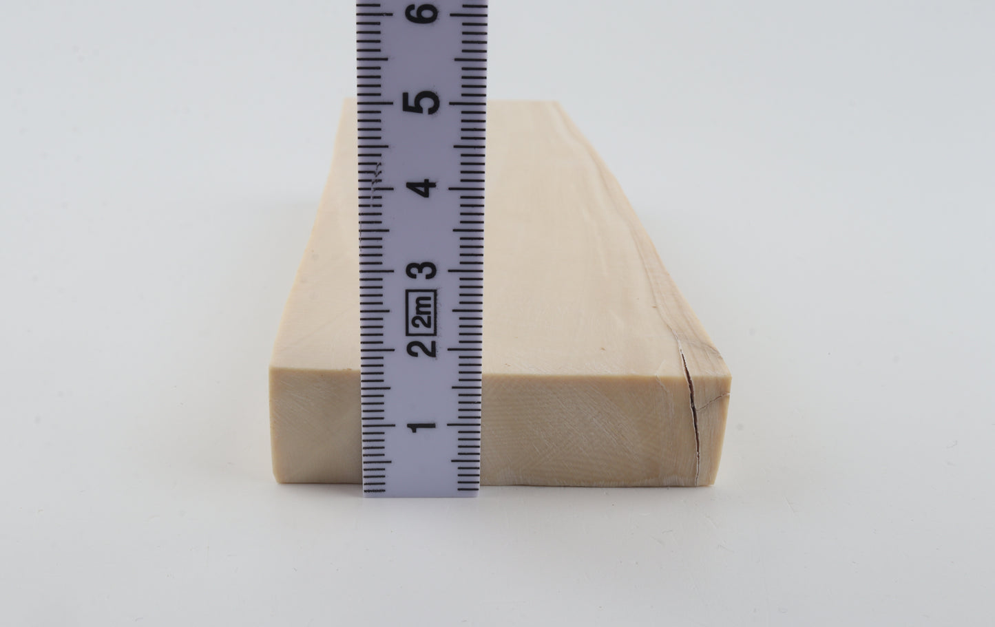 White mammoth ivory segment