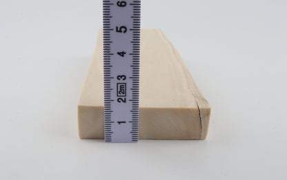 White mammoth ivory segment