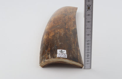 Brown mammoth bark