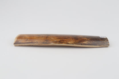 Brown mammoth bark