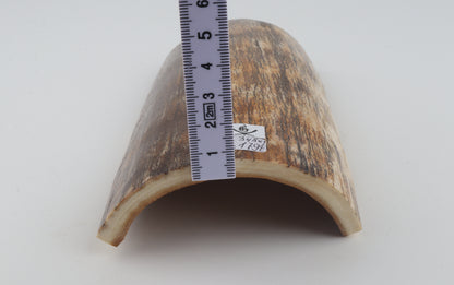 Natural woolly mammoth bark