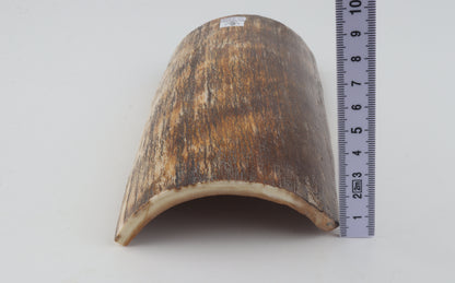 Natural woolly mammoth bark