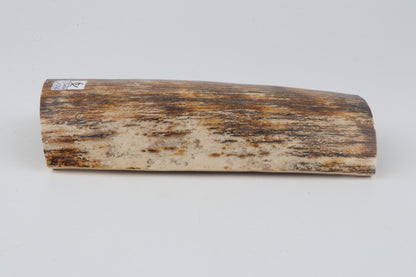 Natural woolly mammoth bark