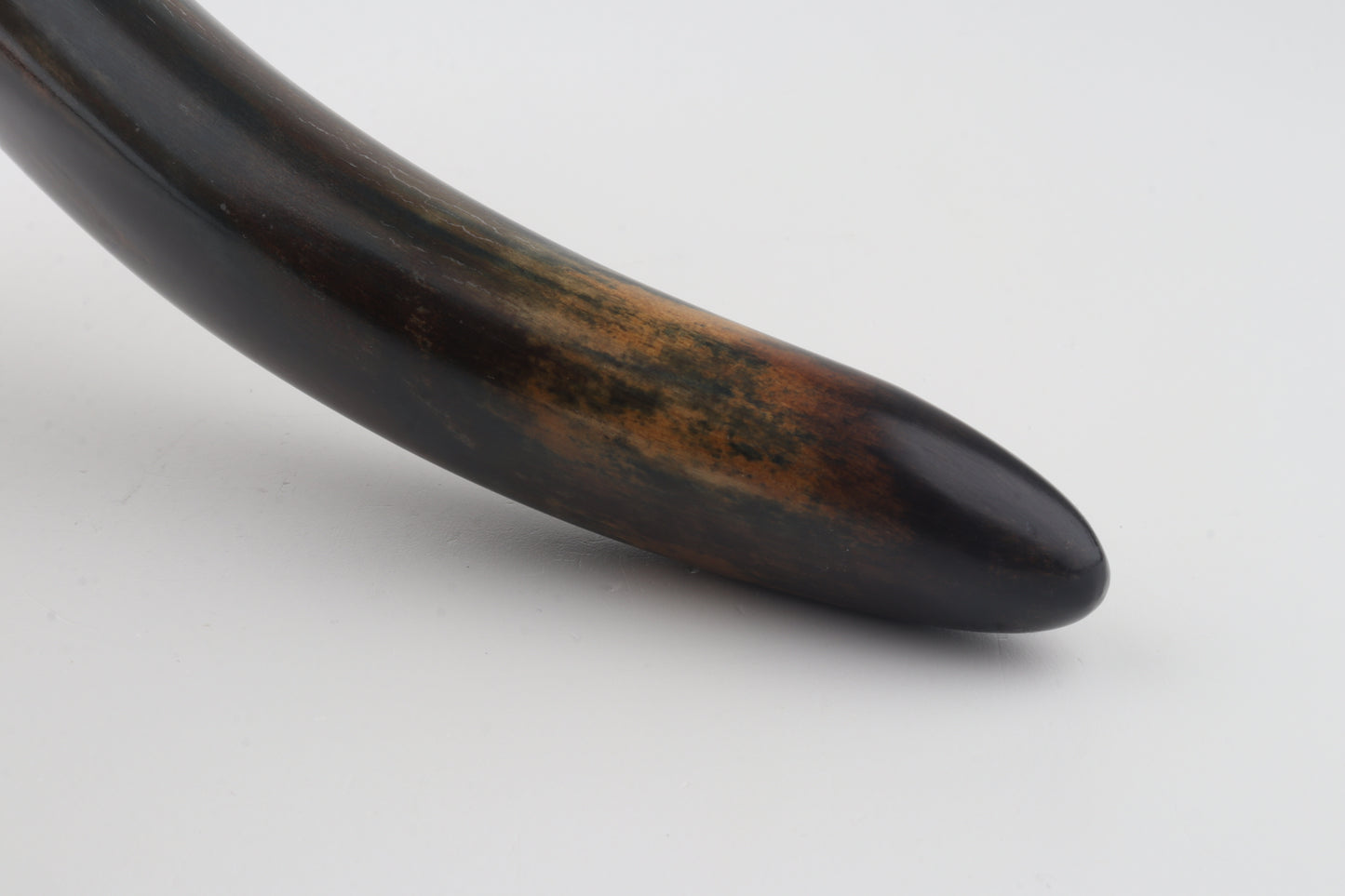 Restored woolly mammoth tusk