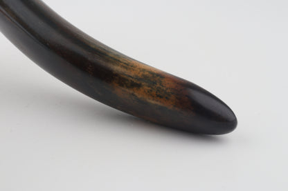 Restored woolly mammoth tusk