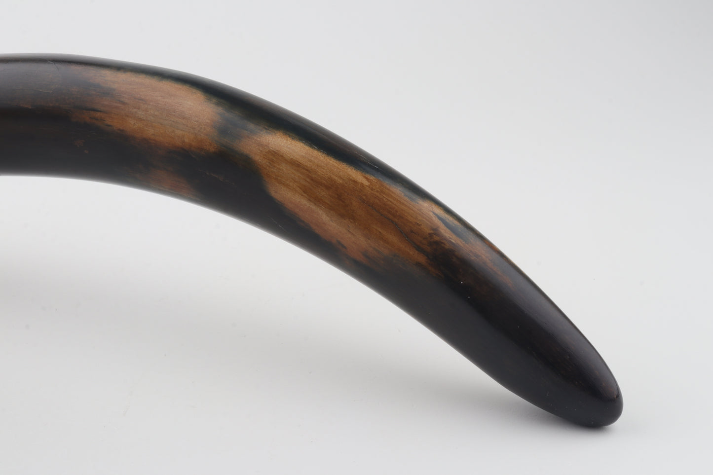 Restored woolly mammoth tusk