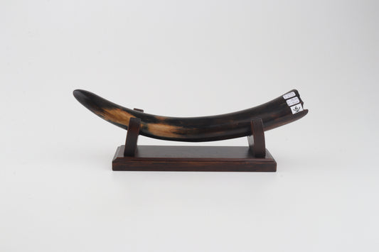 Restored woolly mammoth tusk