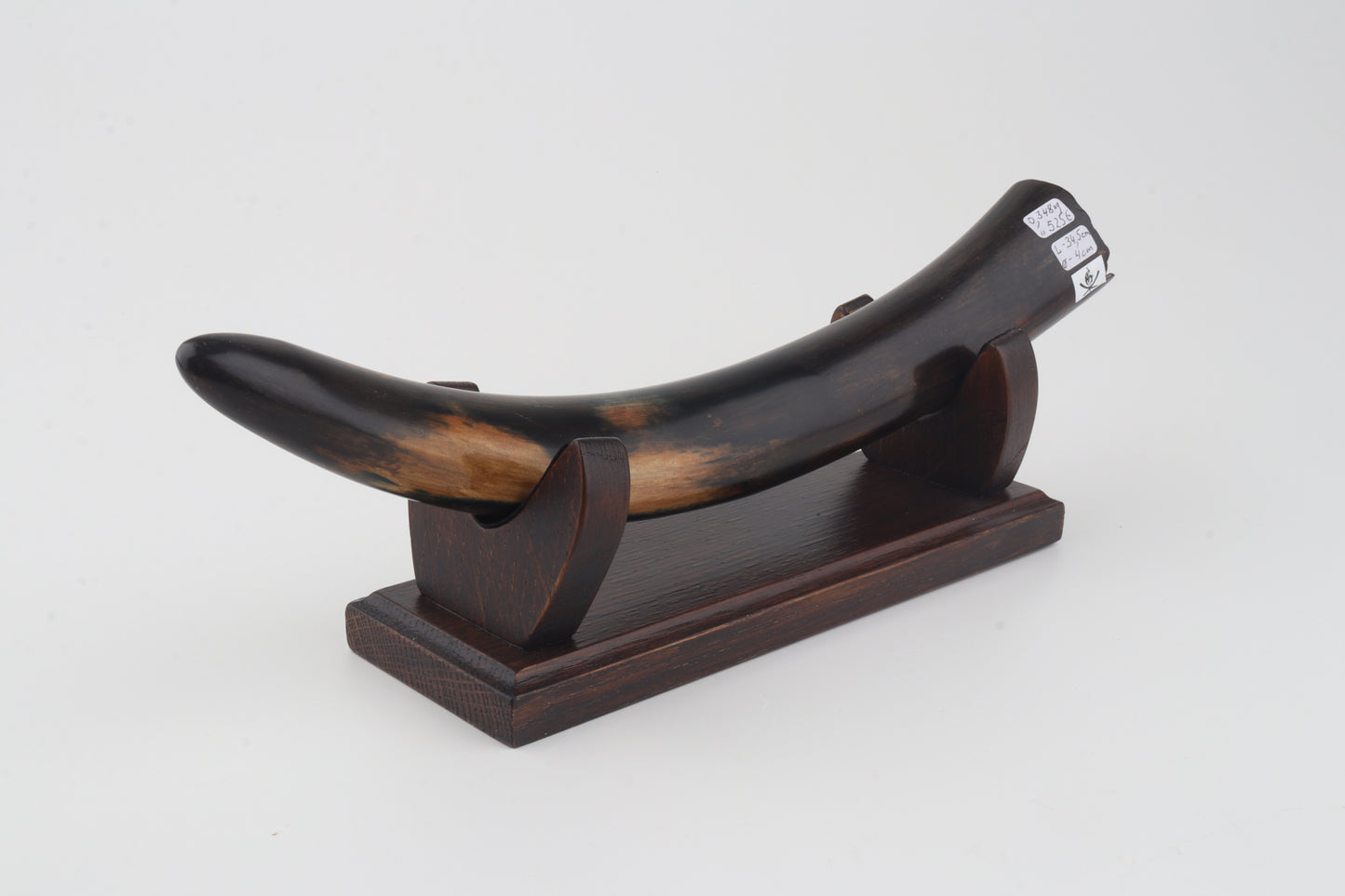 Restored woolly mammoth tusk