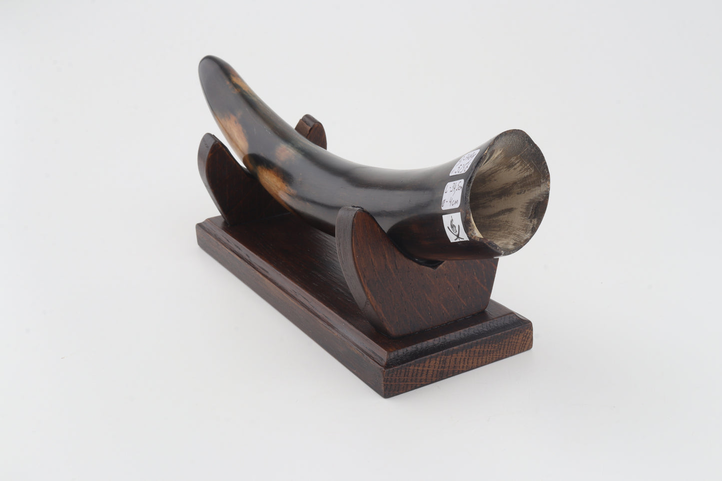 Restored woolly mammoth tusk