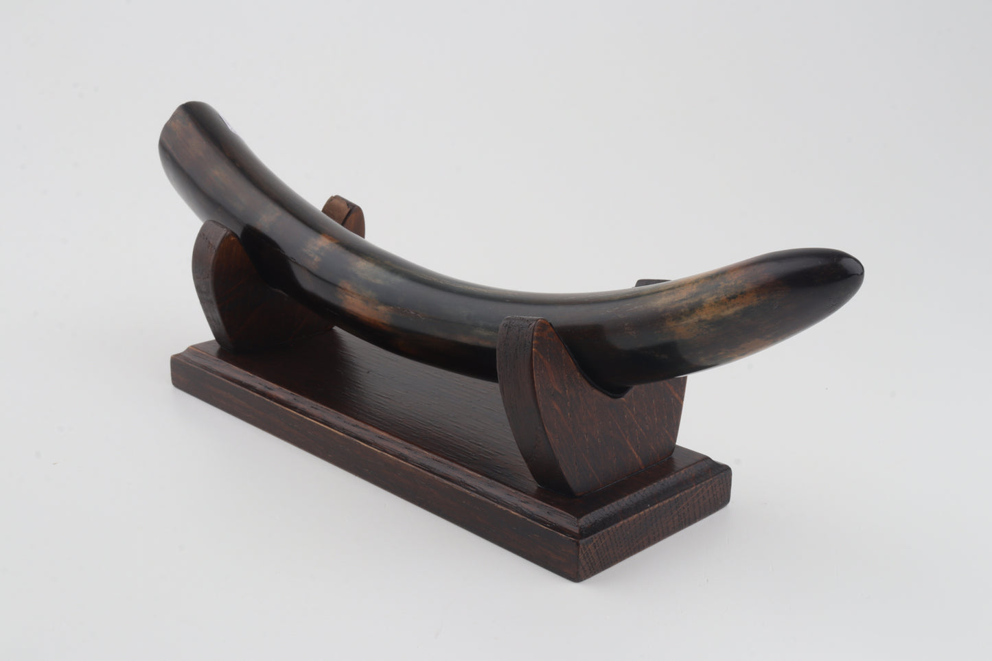 Restored woolly mammoth tusk