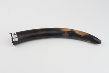 Restored woolly mammoth tusk