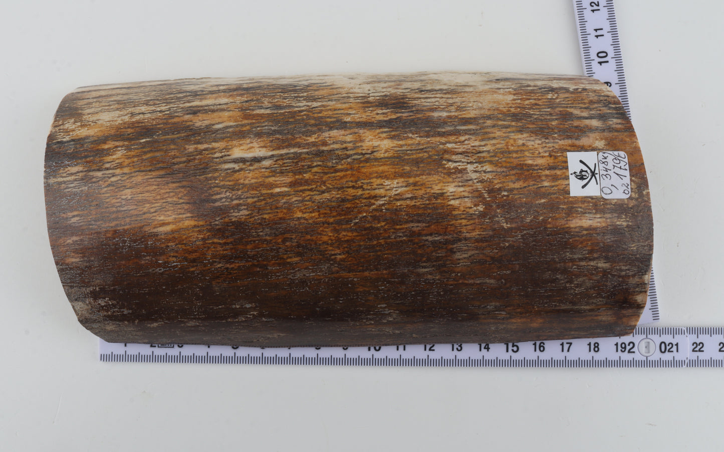 Natural woolly mammoth bark