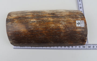 Natural woolly mammoth bark