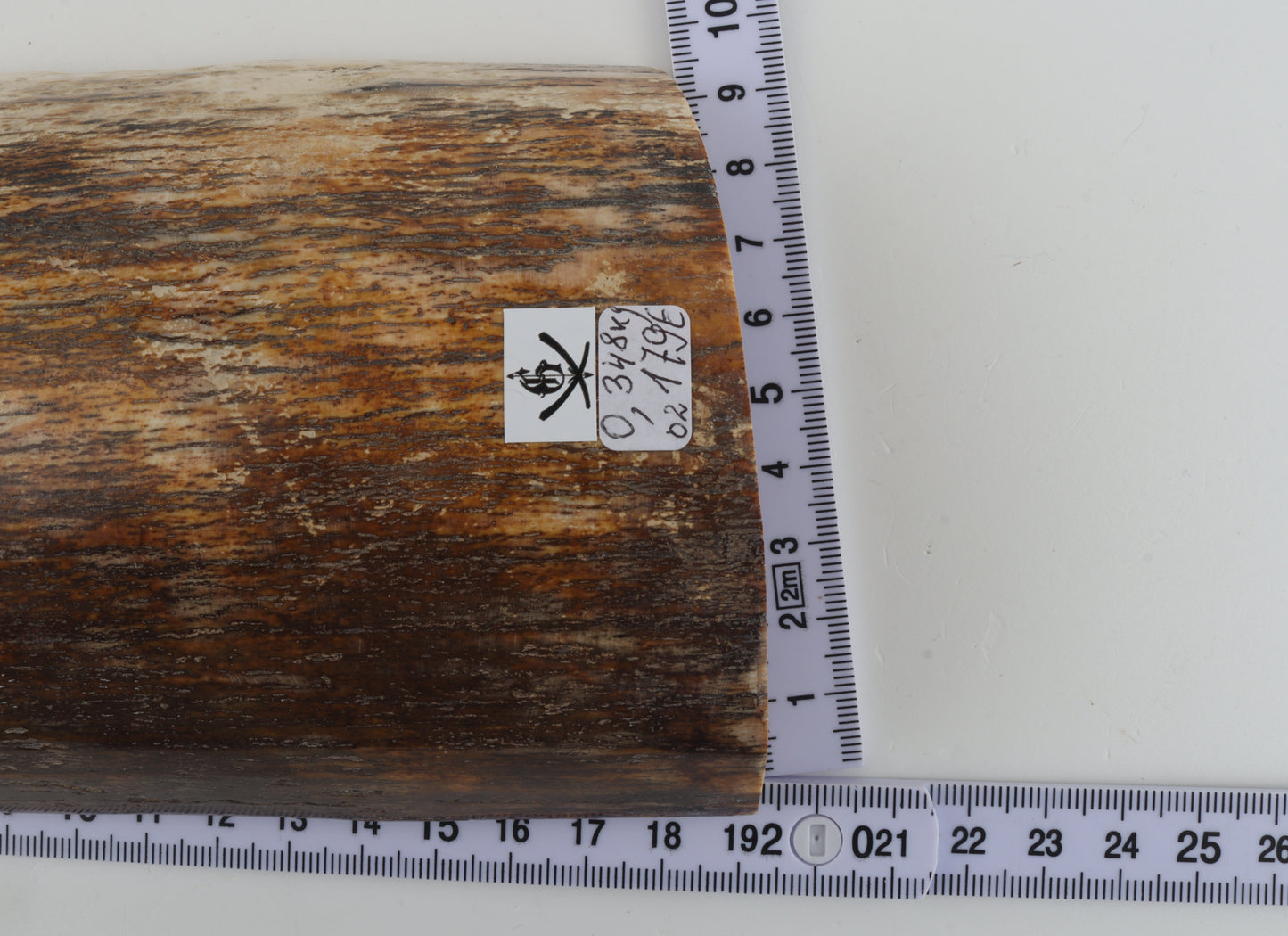 Natural woolly mammoth bark