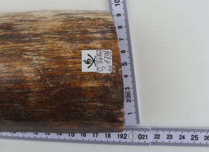 Natural woolly mammoth bark