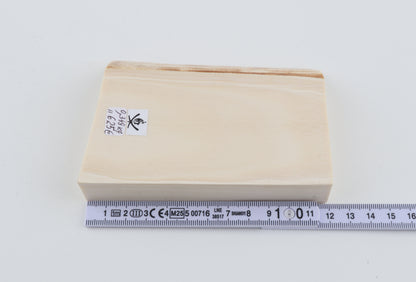 White mammoth ivory piece