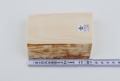 White mammoth ivory piece