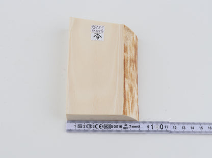 White mammoth ivory piece