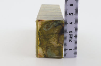 Stabilised mammoth molar block