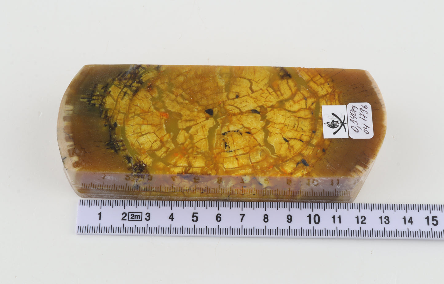 Stabilised mammoth ivory block