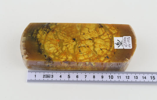 Stabilised mammoth ivory block